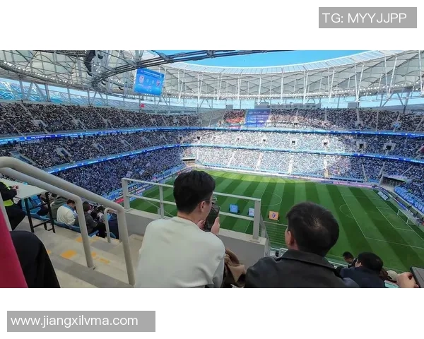 刘丽独家解析足球技巧与战术心得助你提升球技与观赛体验