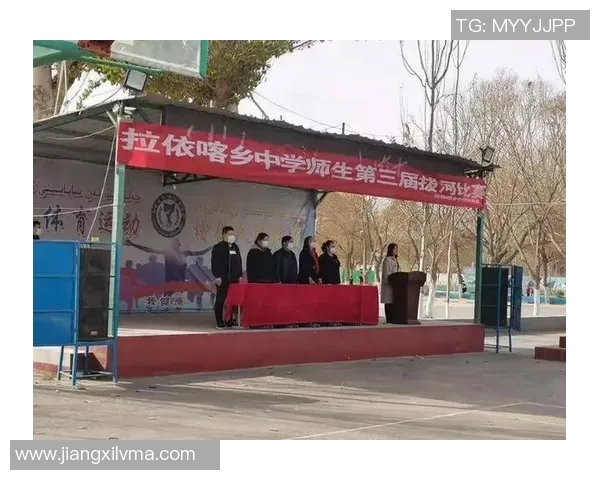 杭州排球队的奋斗之路与杯赛荣耀的辉煌历程探秘